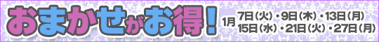 おまかせがお得!